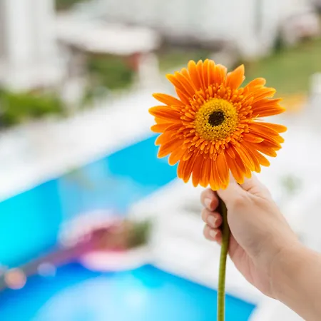 فندق لارا بارك جراند 4*