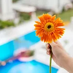 Отель Grand Park Lara 4*