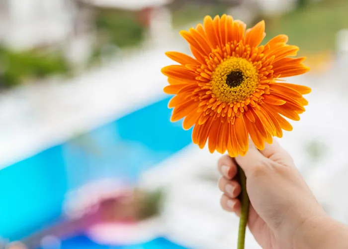 Szálloda Grand Park Lara 4*